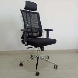 Reclining High Back Orthopedic/Ergonomic Office Chair