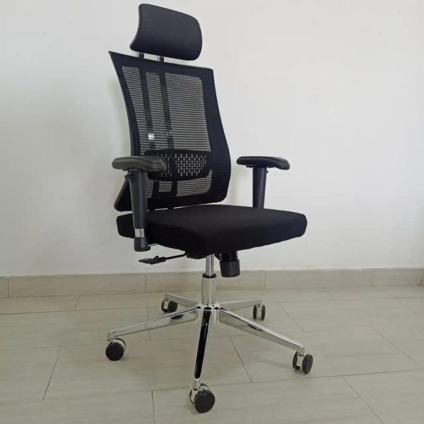Reclining High Back Orthopedic/Ergonomic Office Chair