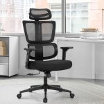 Reclining Ergonomic Office Chair