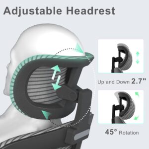 FUJI D95 Ergonomic Office Chair