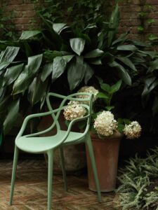 EMILIO C98 Dining Chairs (Green)