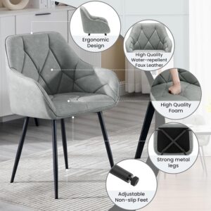 SIENA TJ81 Velvet Chairs (Gray)