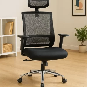 Ergonomic Office Chair